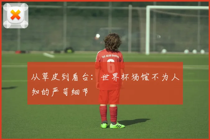 从草皮到看台：世界杯场馆不为人知的严苛细节